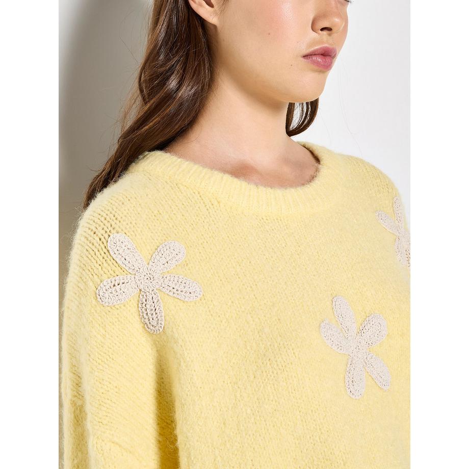 APRICOT Pull avec application de marguerites au crochet  