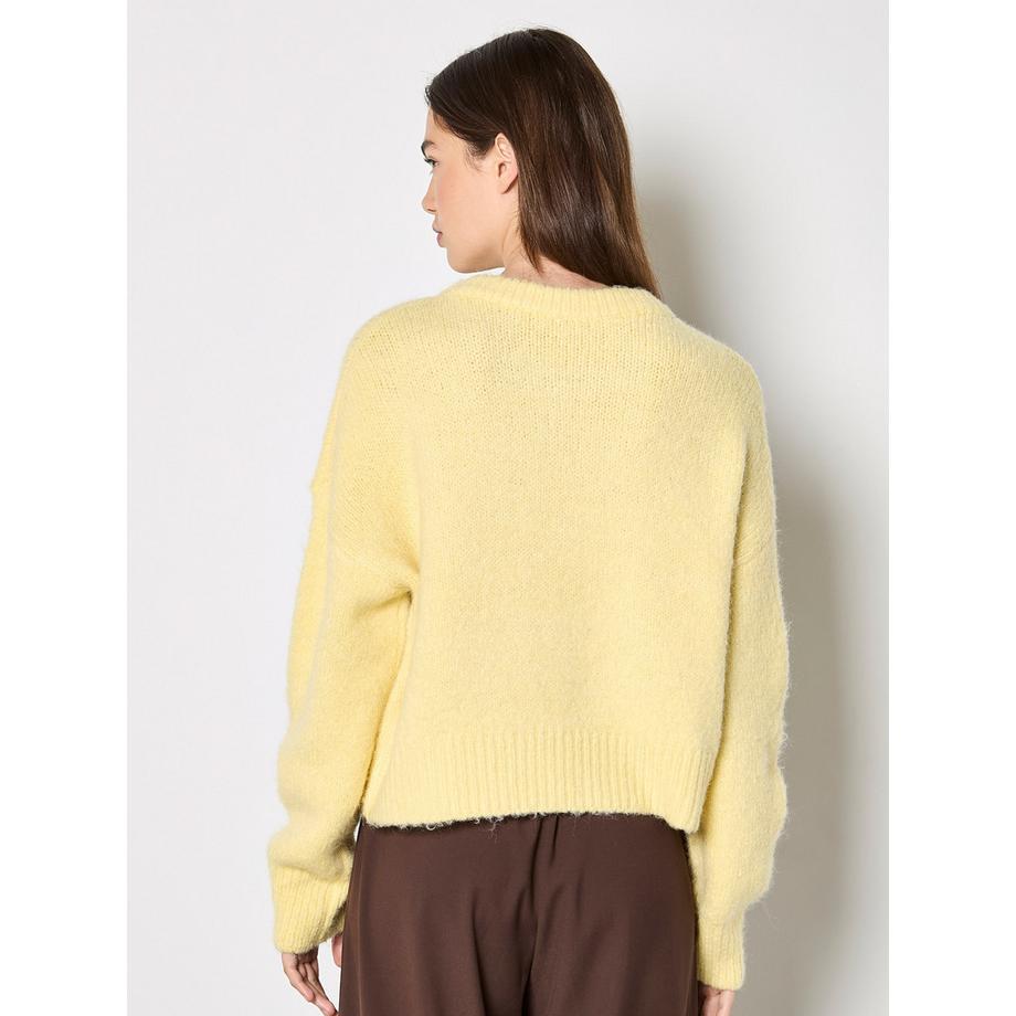 APRICOT Pull avec application de marguerites au crochet  