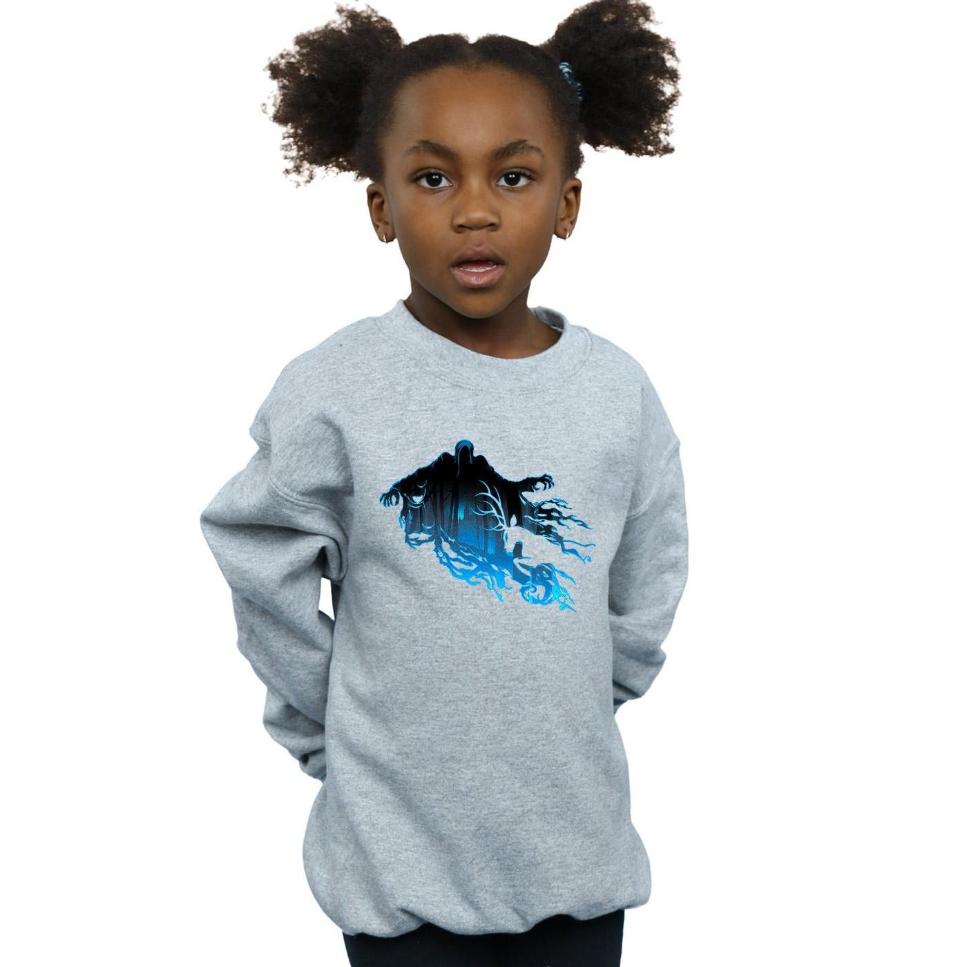 Harry Potter  Sweatshirt 