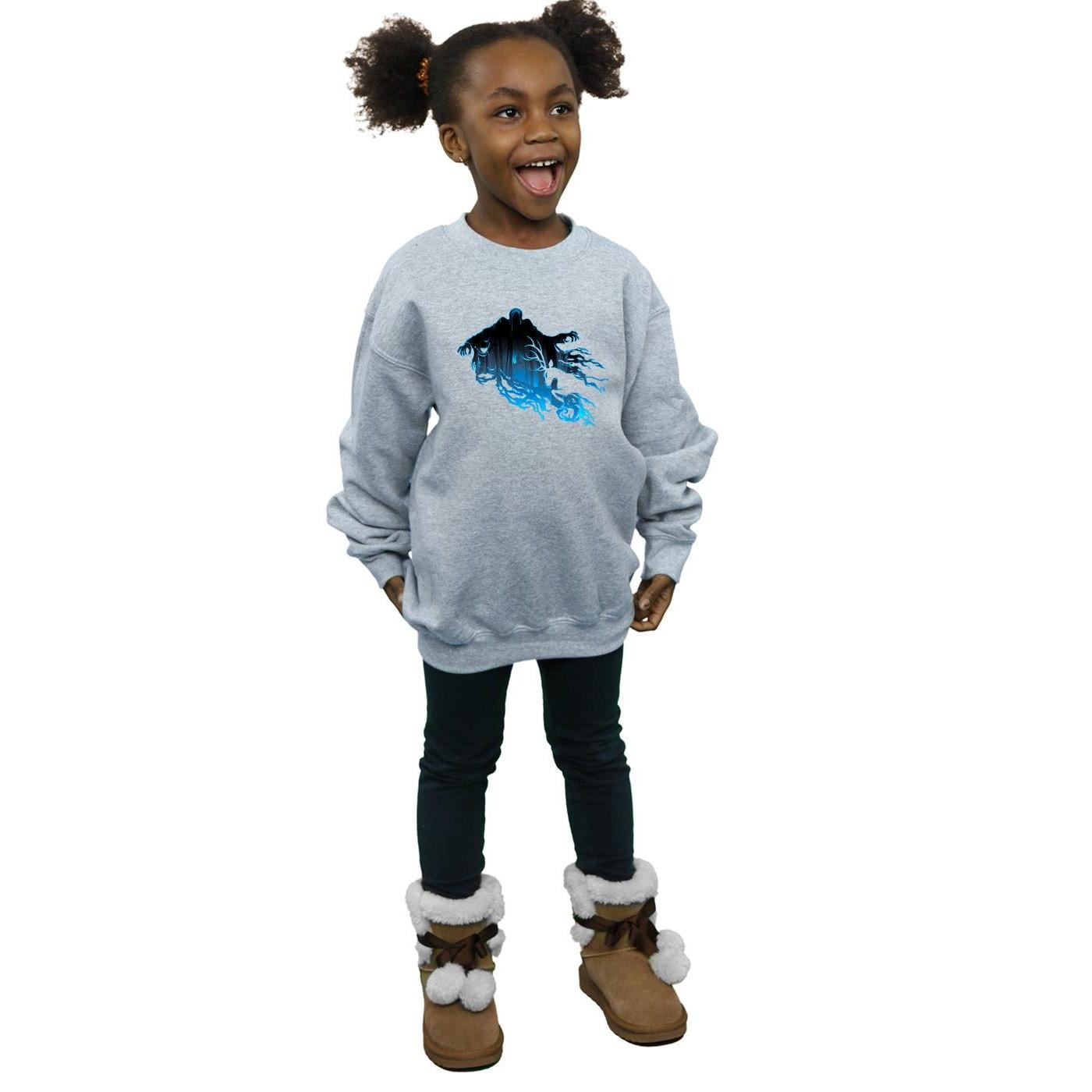 Harry Potter  Sweatshirt 