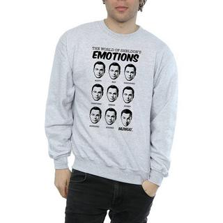 The Big Bang Theory Sheldon Emotions Sweatshirt Col Rond  