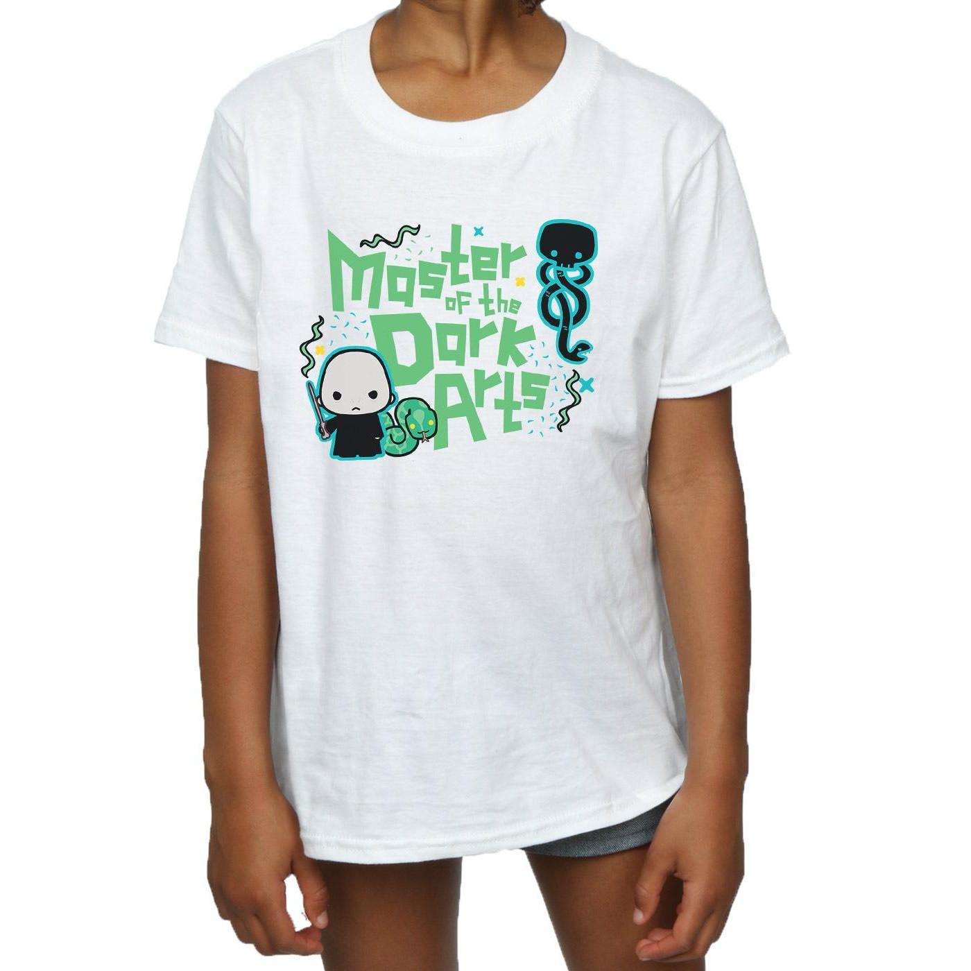 Harry Potter  Voldemort Dark Arts Junior TShirt 
