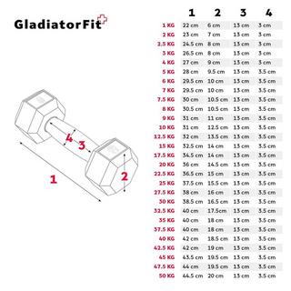 GladiatorFit  Haltère hexagonal "Hex Dumbbell" en caoutchouc 