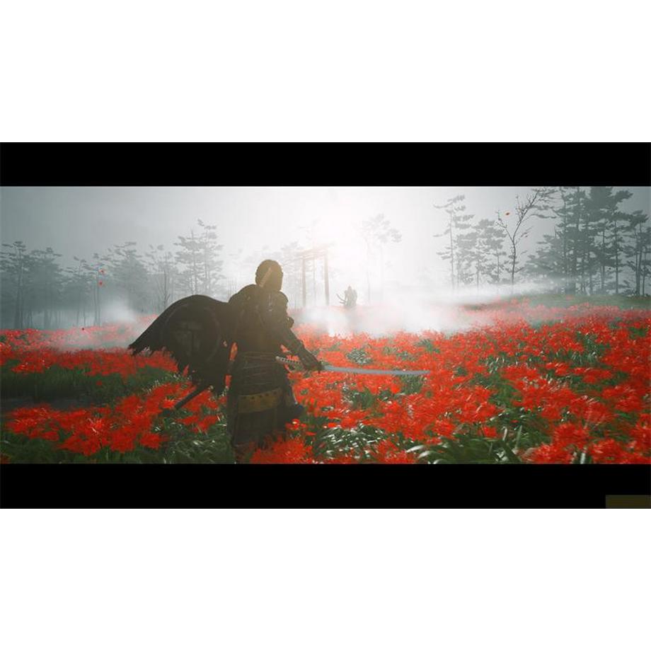 SONY  Ghost of Tsushima - Directors Cut 