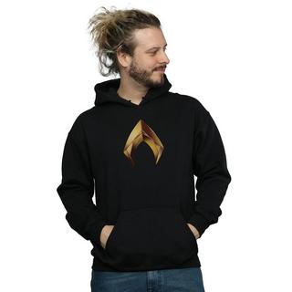 DC COMICS Aquaman Logo Kapuzenpullover  