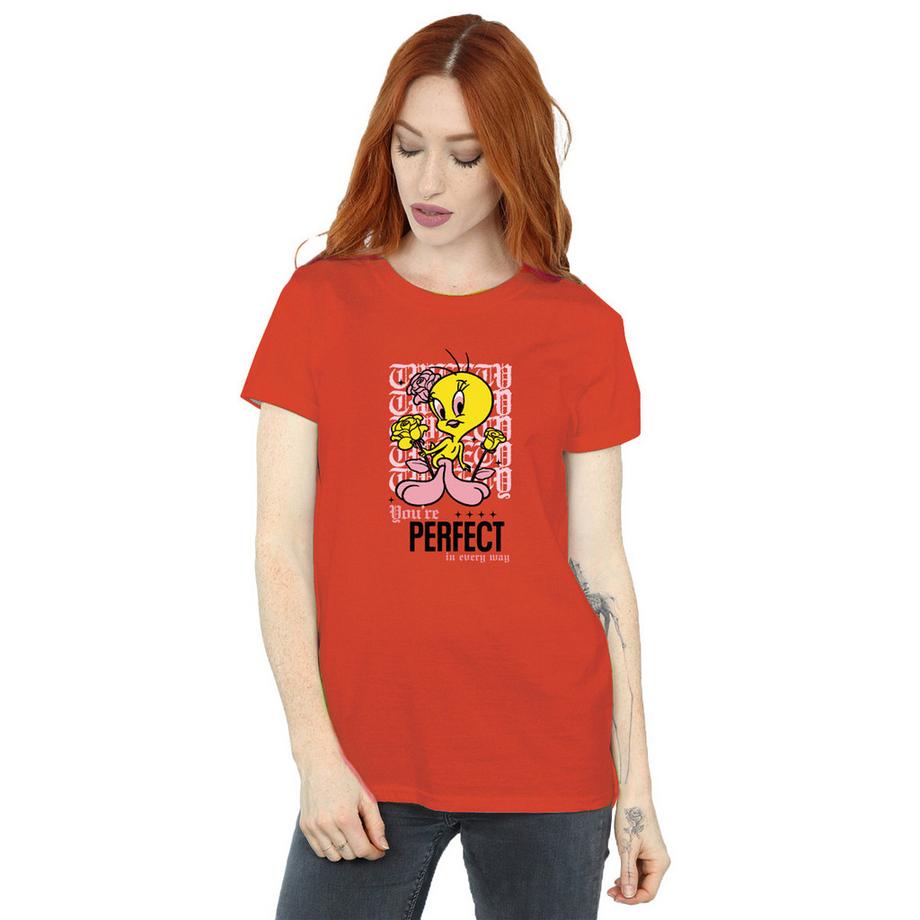 LOONEY TUNES You're Perfect T-Shirt  
