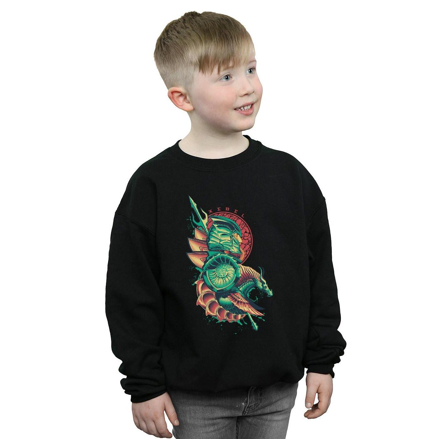 DC COMICS  Xebel Sweatshirt 