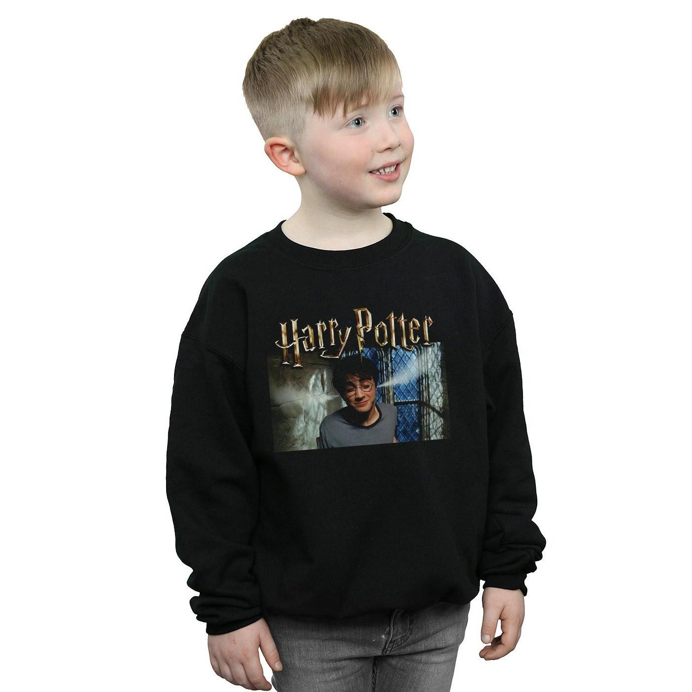 Harry Potter  Sweatshirt 