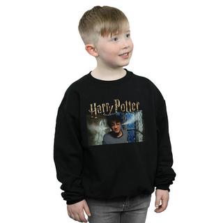 Harry Potter  Sweatshirt 