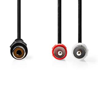 Nedis  Cavo audio stereo | 2x RCA Hane | RCA Hona | Nichelato | 0,20 m | Rotondo | Blister 