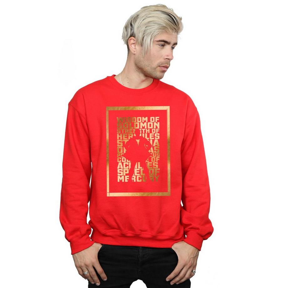 DC COMICS Shazam Wisdom of Solomon Sweatshirt  