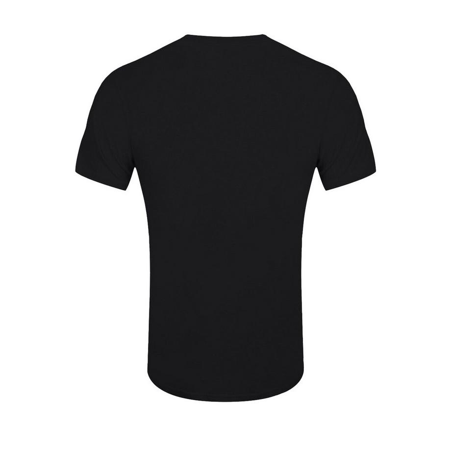 Jurassic Park I Survived T-Shirt  