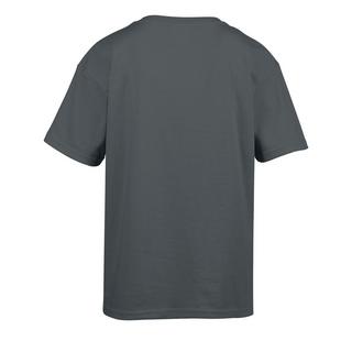 Gildan  SoftStyle TShirt 