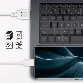 Avizar  Câble connecteur USB type C - Long 3m 