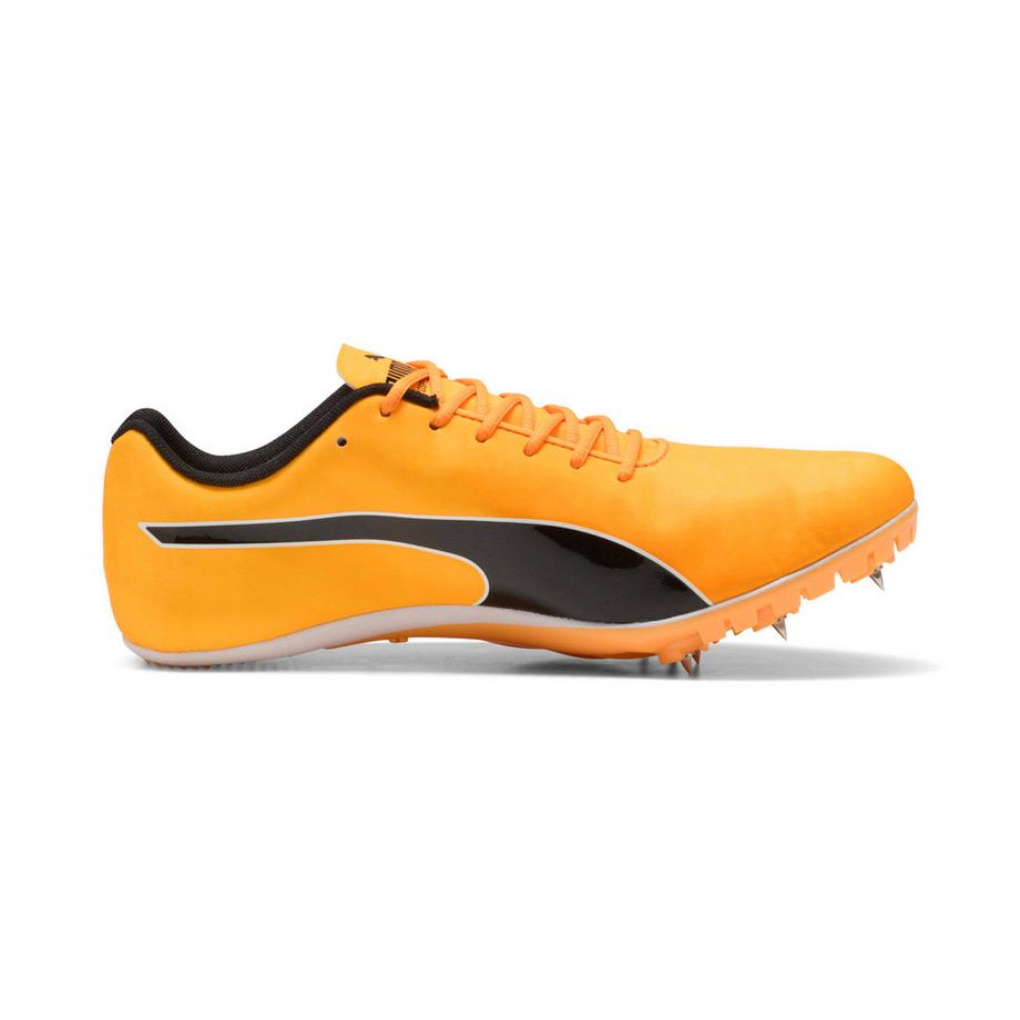 PUMA Scarpe chiodate atletica evospeed sprint 14.5  