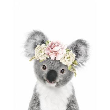 Floral Baby Koala - 70x100 cm