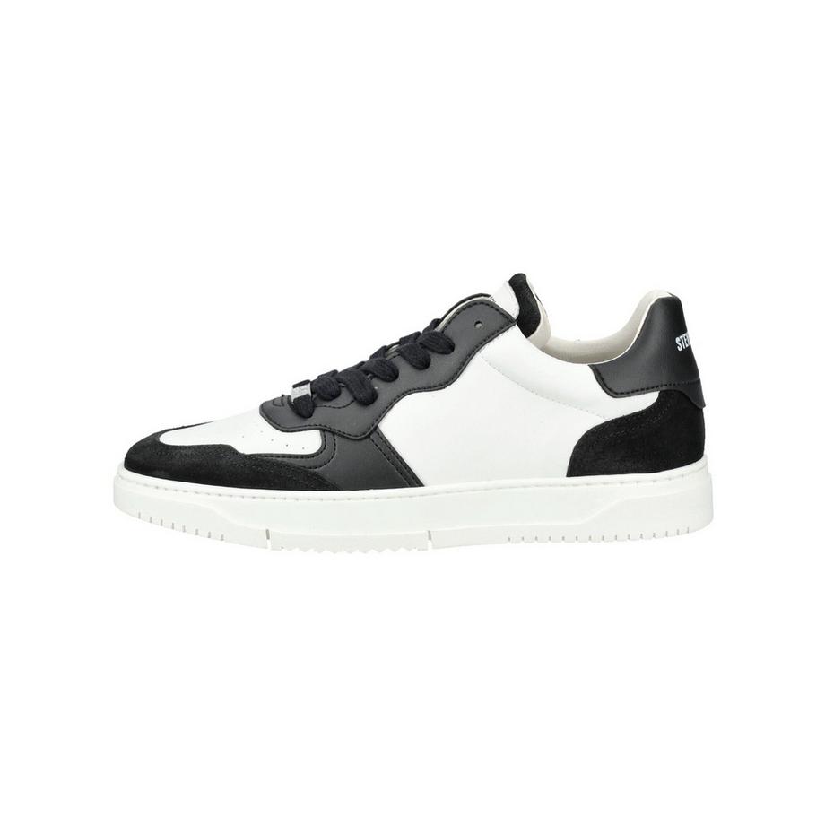 STEVE MADDEN Sneaker  
