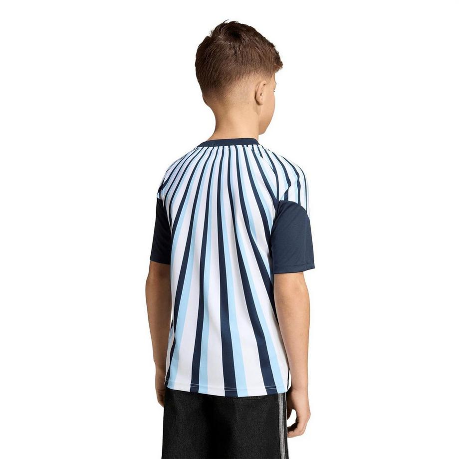 adidas  Maillot De Foot Motiftyle Argentine Pre Match 