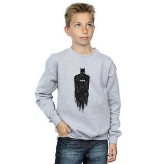 DC COMICS  Sweatshirt 