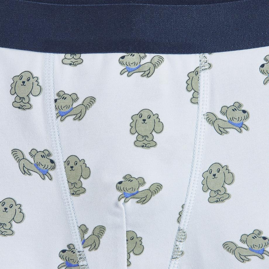 La Redoute Collections  Lot de 5 boxers en coton imprimé chien 
