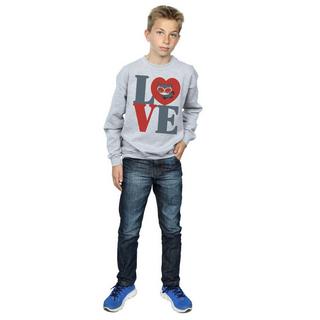 DC COMICS  Sweatshirt 