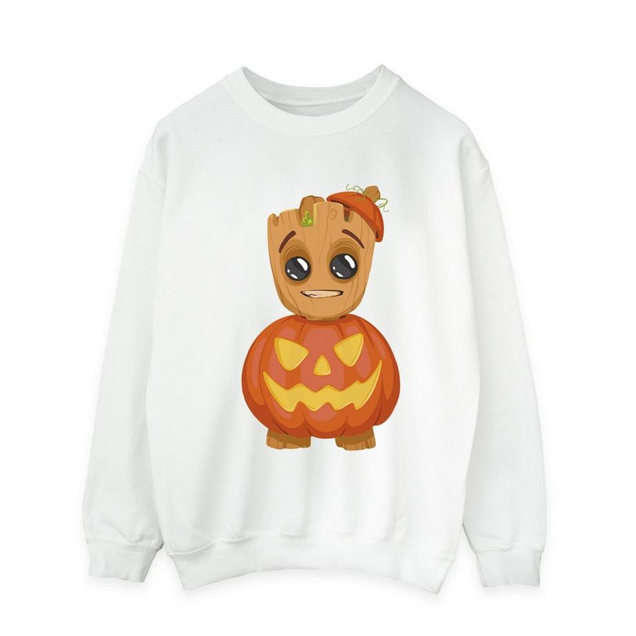 MARVEL Groot Zucca Grafica Felpa  