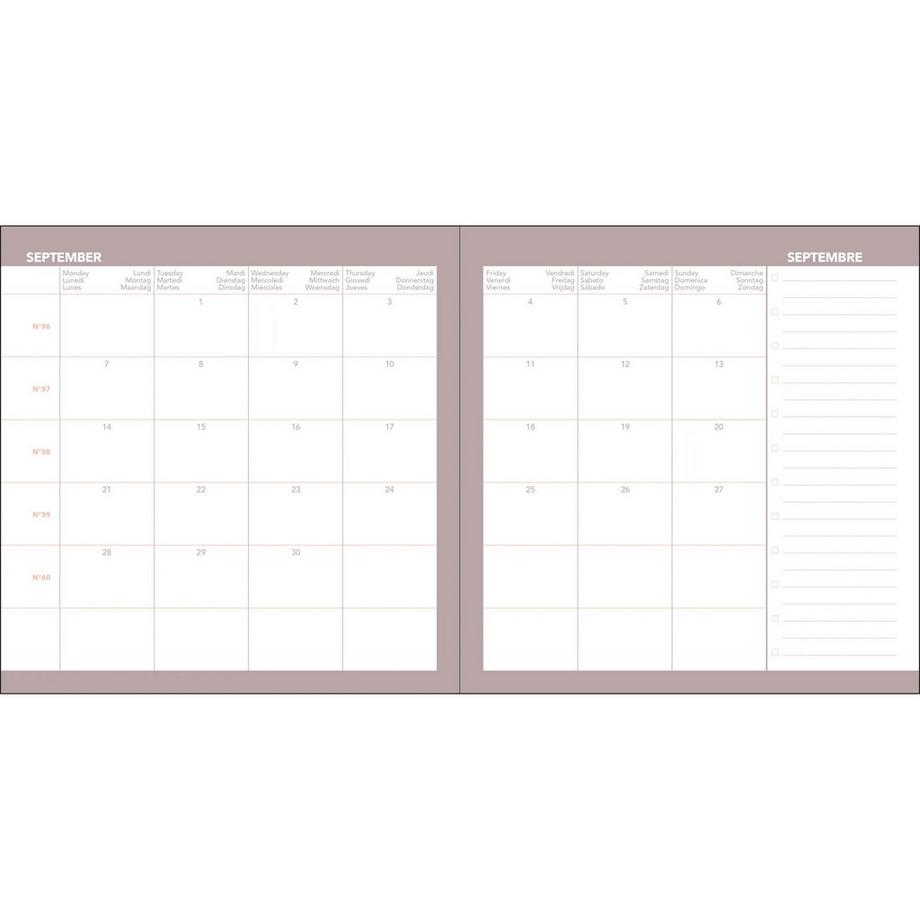 QUO-VADIS Quo Vadis - Agenda scolastica - 2026-2027 - Esecutivo Settembre Color - Settimana Planning - Multilingua - Céleste - Blu - 13 mesi da agosto ad agosto - 16x16 cm  