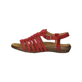 El Naturalista  Sandalen 