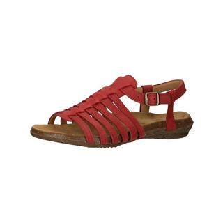 El Naturalista  Sandalen 