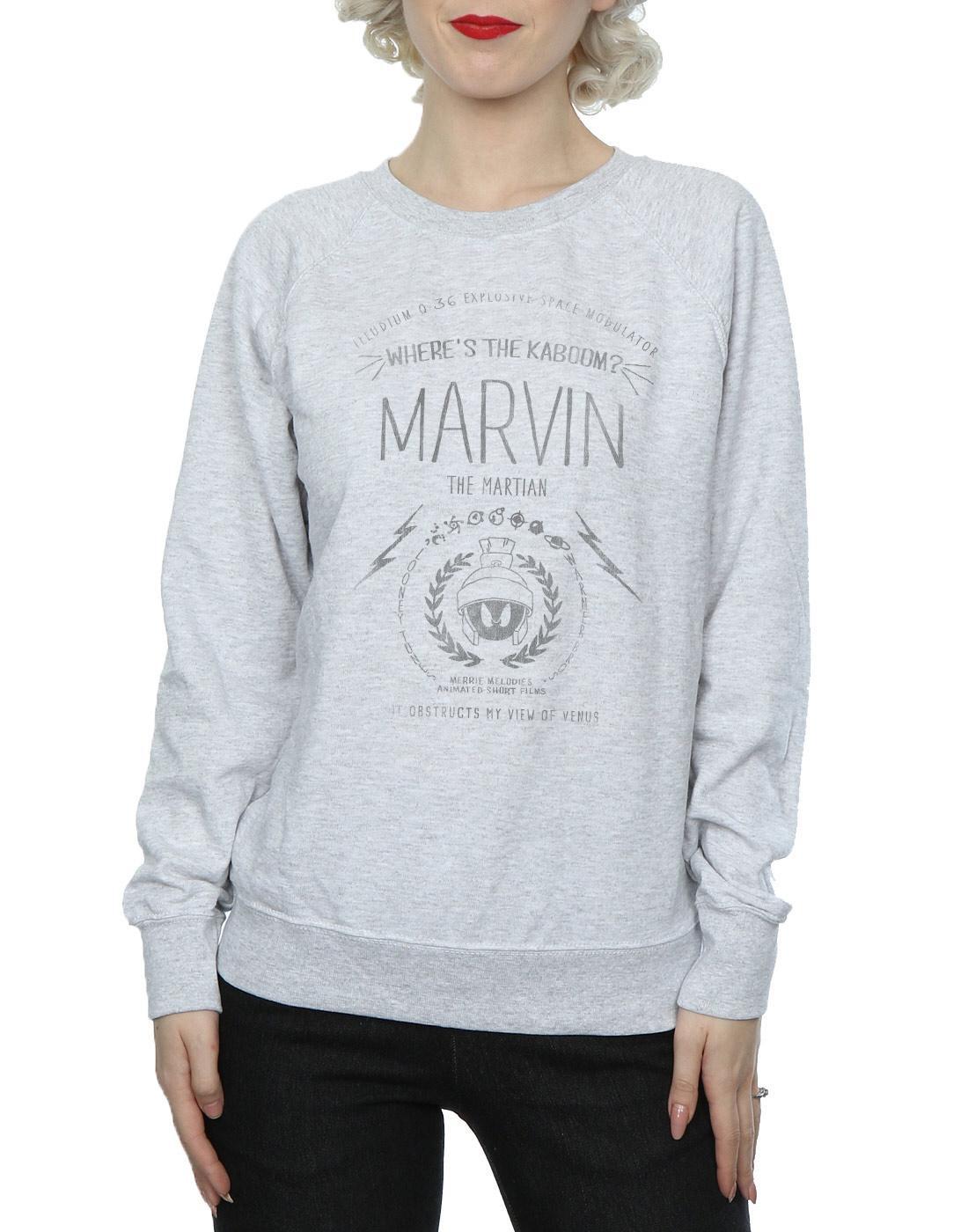 LOONEY TUNES Where's The Kaboom Sweatshirt  