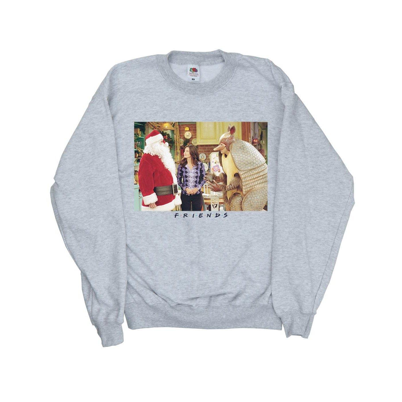 Friends  Christmas Armadillo Sweatshirt 