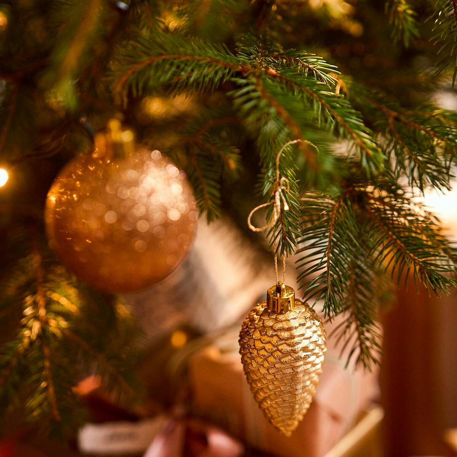 La Redoute Intérieurs Lot de 6 pommes de pin de Noël à suspendre  