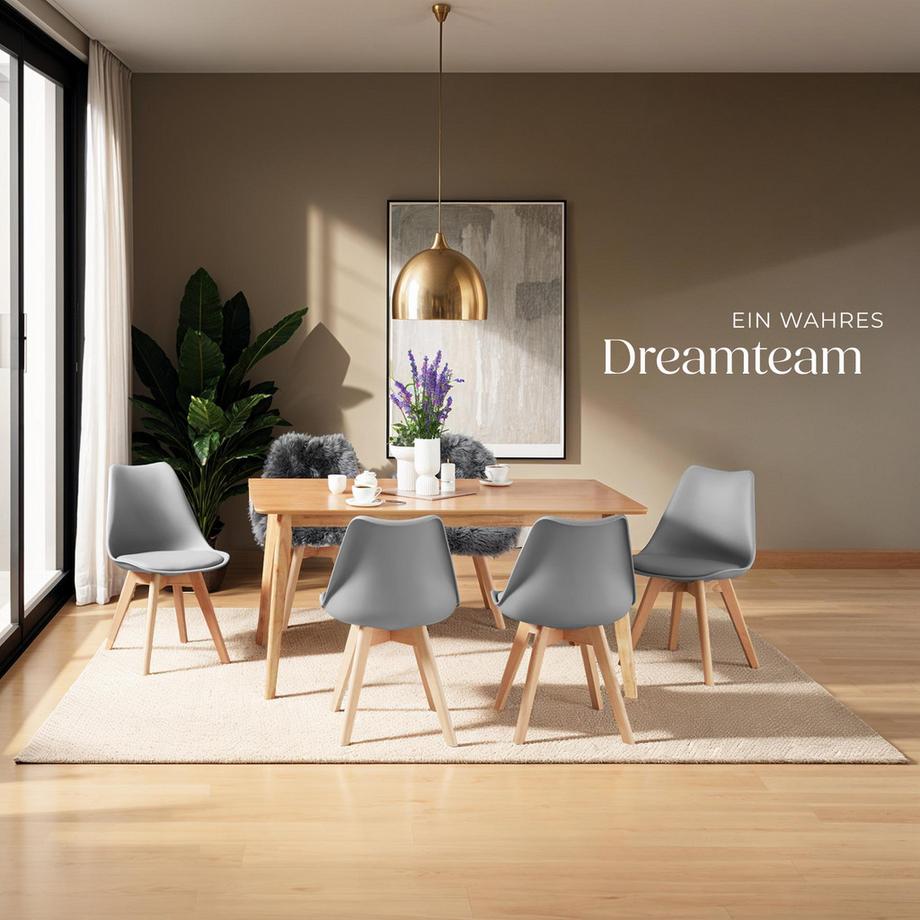 Tectake Set di sedie per sala da pranzo Friederike  Design scandinavo  