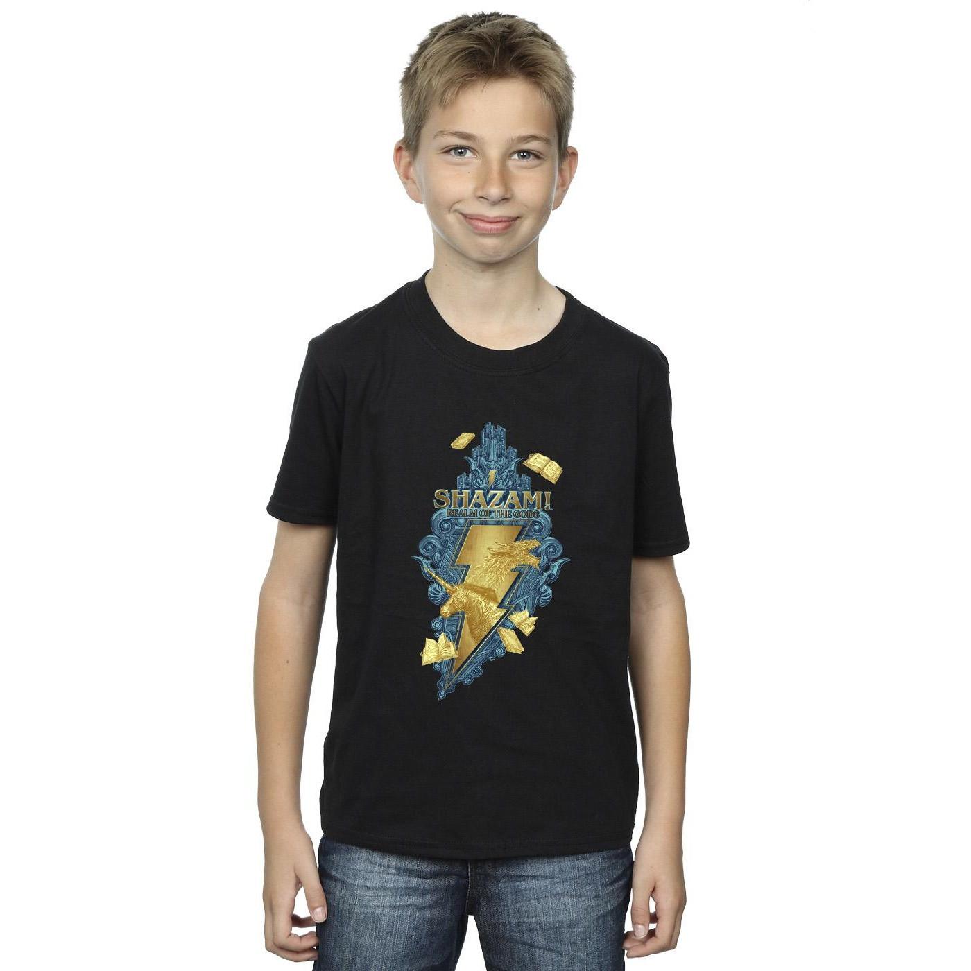 DC COMICS  Fury Of The Gods TShirt 