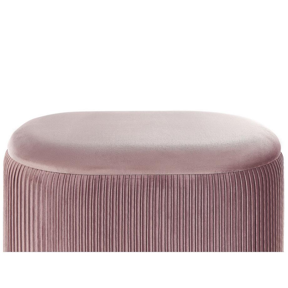 Beliani Pouf mit Stauraum aus Samtstoff Modern RICHLAND  