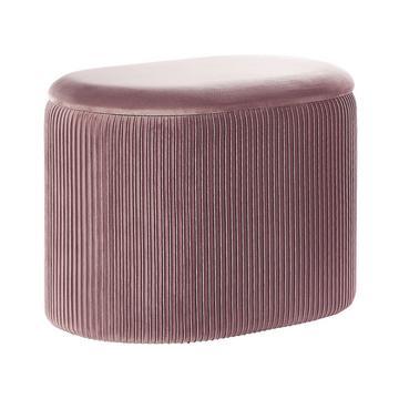 Pouf mit Stauraum aus Samtstoff Modern RICHLAND