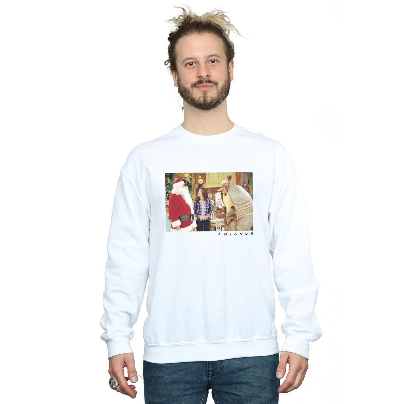 Friends The Holiday Armadillo Sweatshirt  