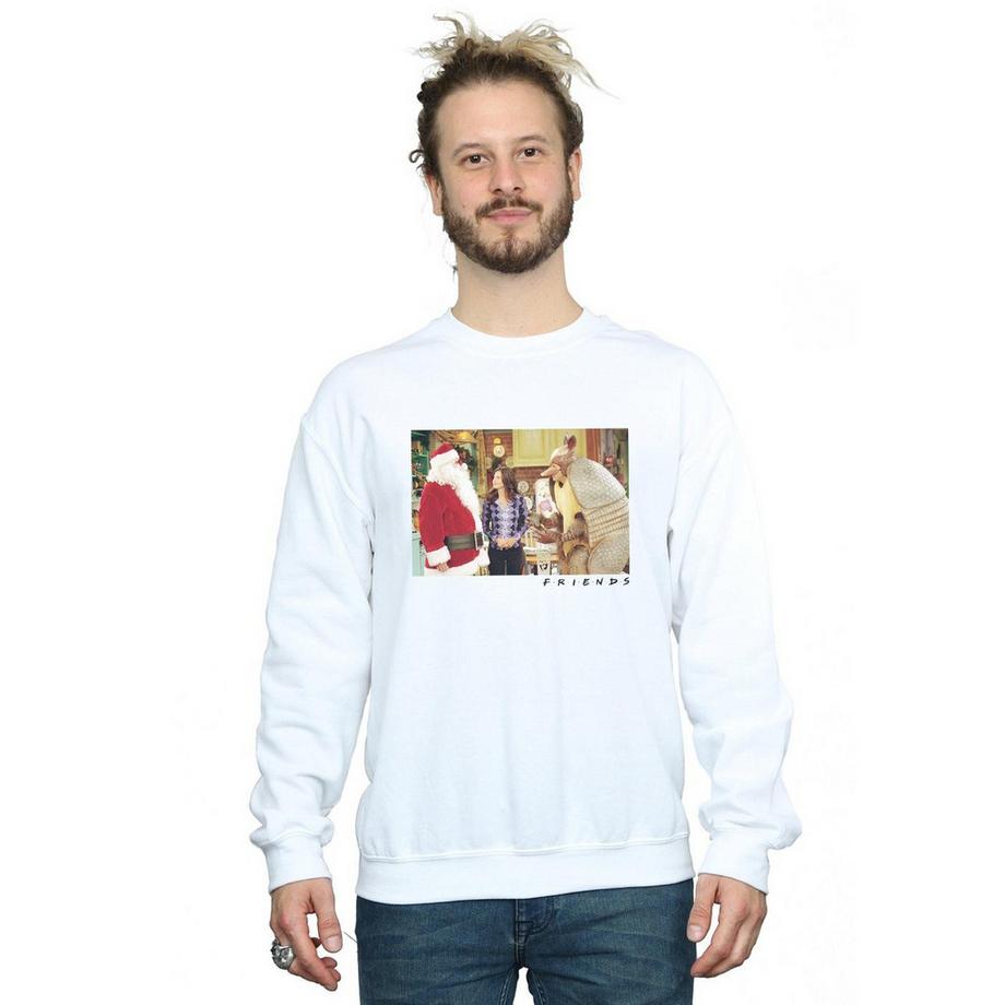 Friends The Holiday Armadillo Sweatshirt  