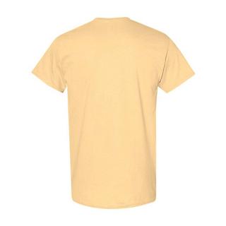 Gildan T-Shirt 5er Pack  
