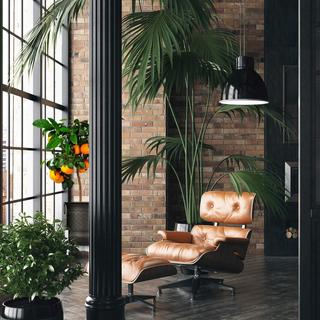 B2X Support pour plantes en bambou  