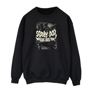 SCOOBY DOO Scooby Doo Where Are You Sweatshirt  