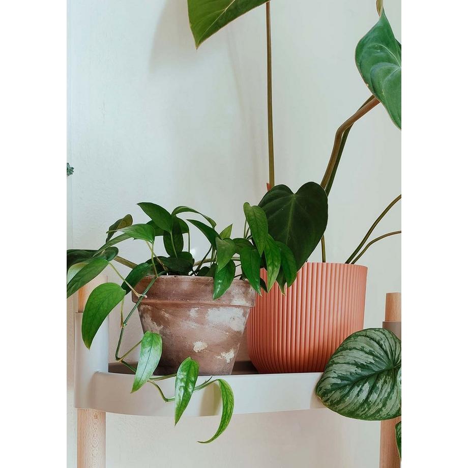 CitySens Pflanzenregal  