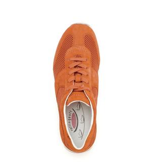 Gabor  Sneaker Scamosciato 