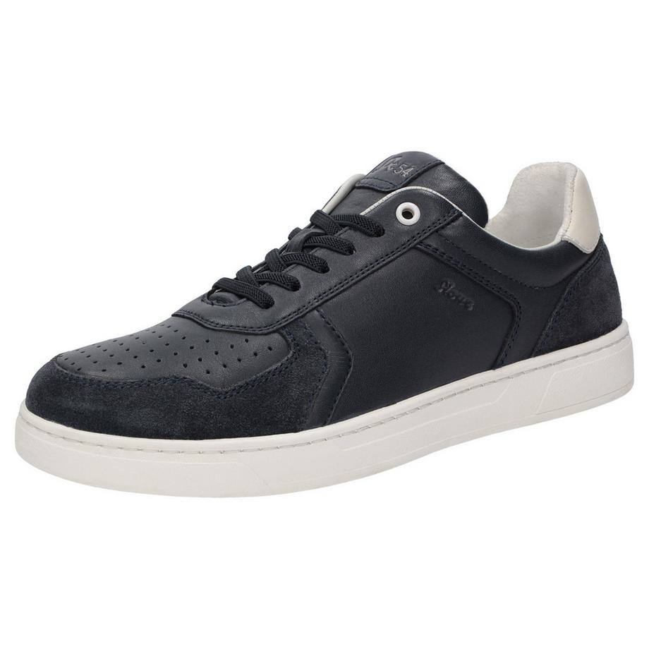 Sneaker Tertulio-702-H