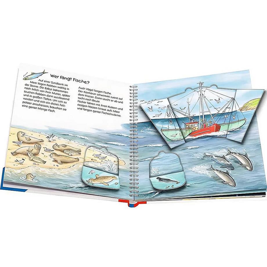 Wieso? Weshalb? Warum? junior, Band 17: Am Meer Erne, Andrea; Kreimeyer-Visse, Marion (Illustrationen) Couverture rigide 