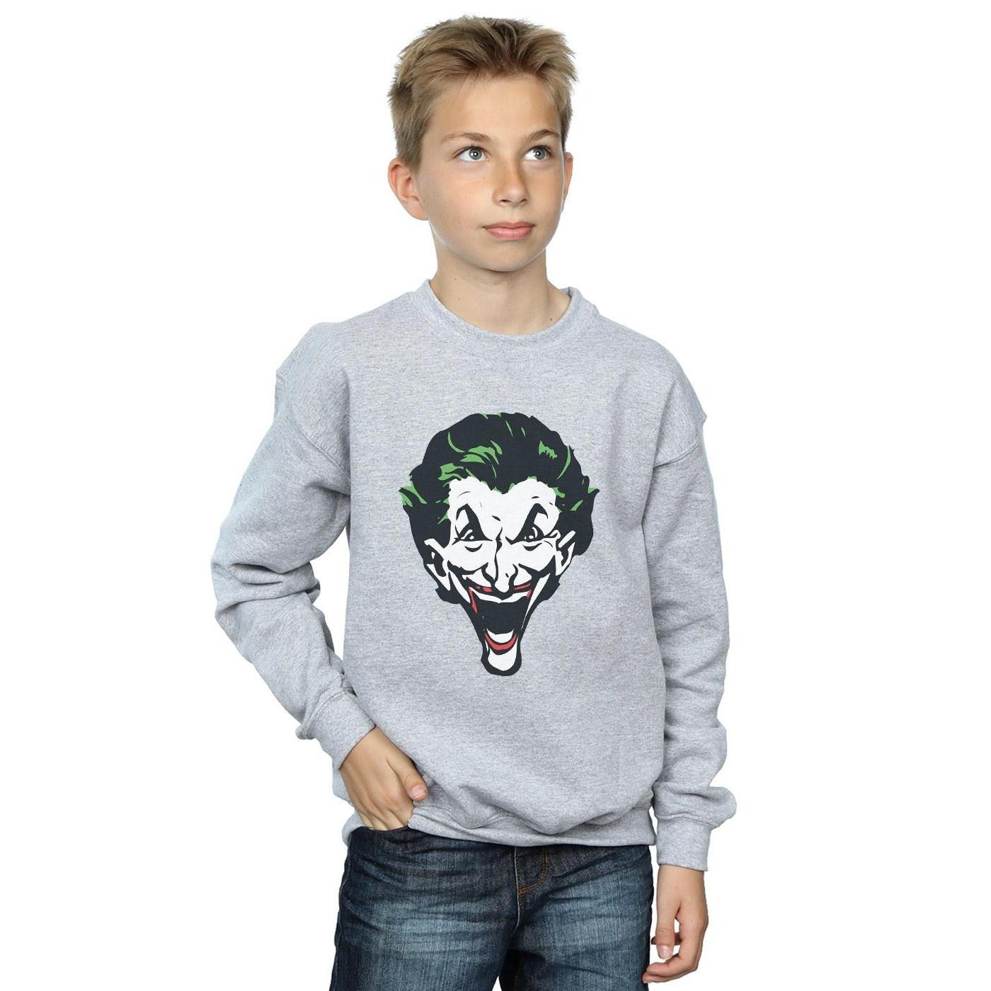 DC COMICS  Sweatshirt 