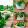 CitySens 3er-Pack Wand-Pflanzengefäss mit automatischer Bewässerung  