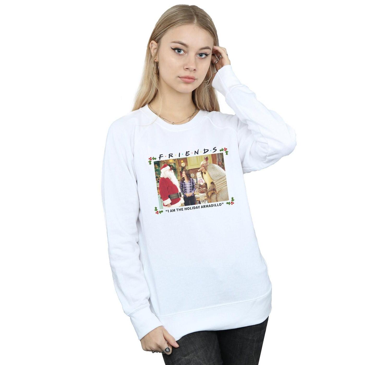 Friends I Am The Holiday Armadillo Sweatshirt  