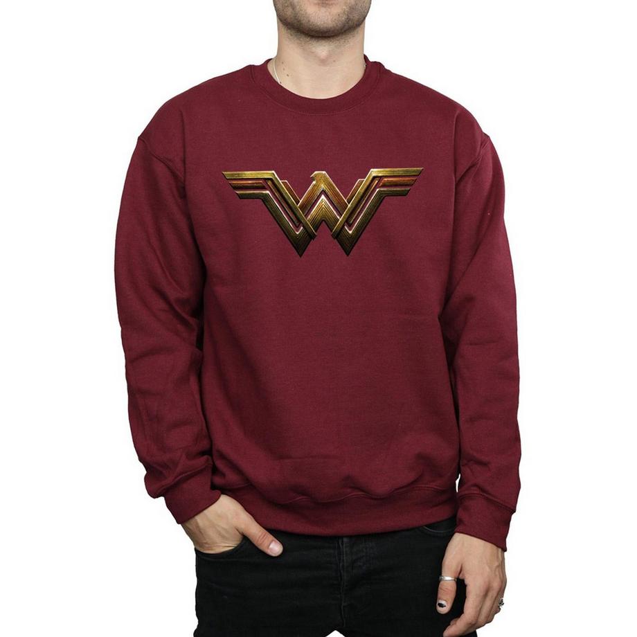 DC COMICS Justice League Wonder Woman Logo Sweatshirt  
