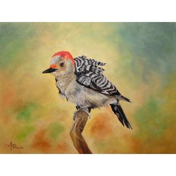 Pretty Woodpecker - 30x40 cm